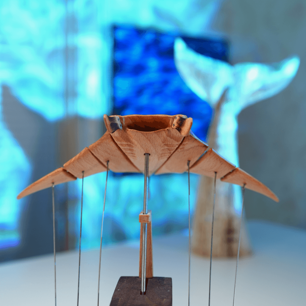 Artful motion